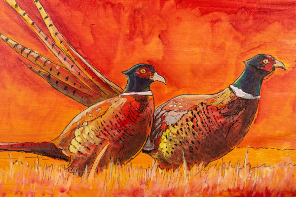 pheasants forever painting